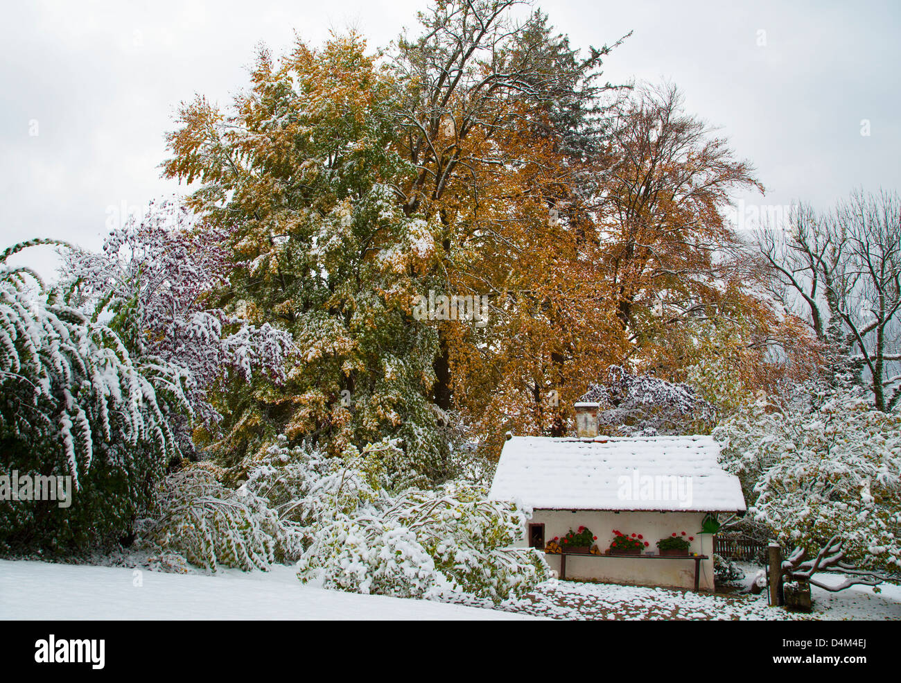 House and trees in snowy landscape Stock Photo - Alamy