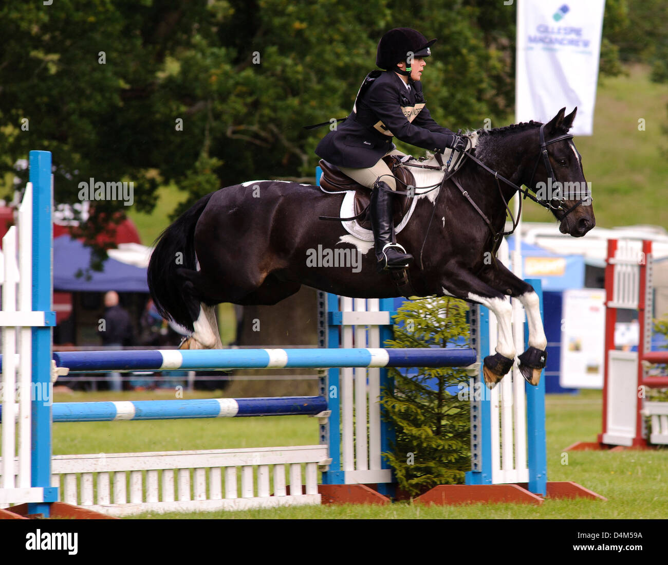 Show Jump action, Gillespie Macandrew Hopetoun House Horse Trials Stock ...