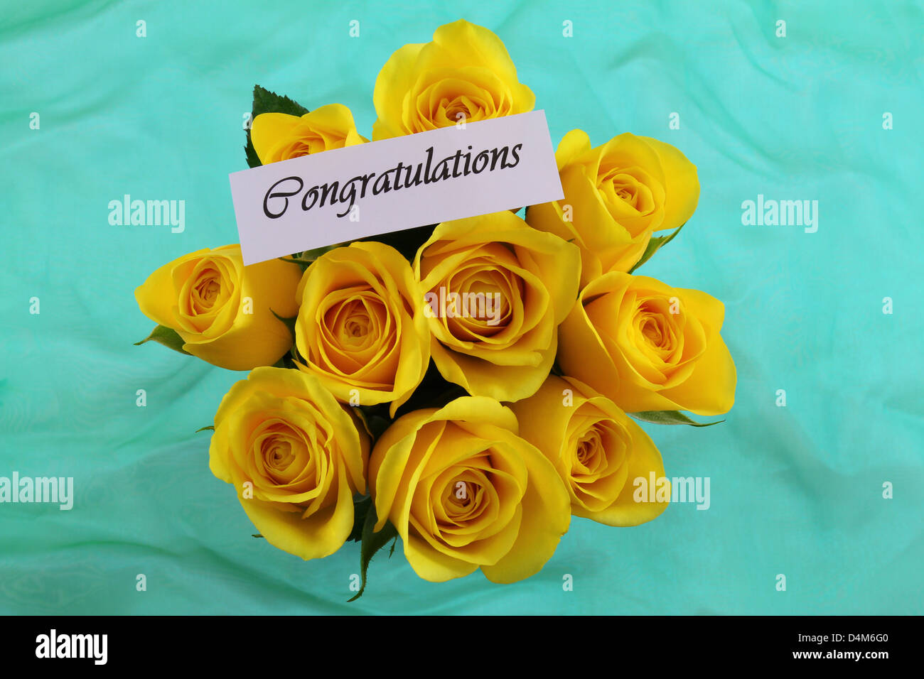 Congratulations note and yellow roses on green background Stock Photo
