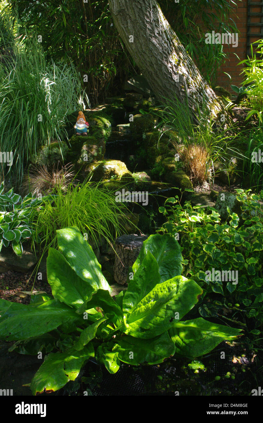 Garden gnome hidden in shady spot amongst foliage Stock Photo