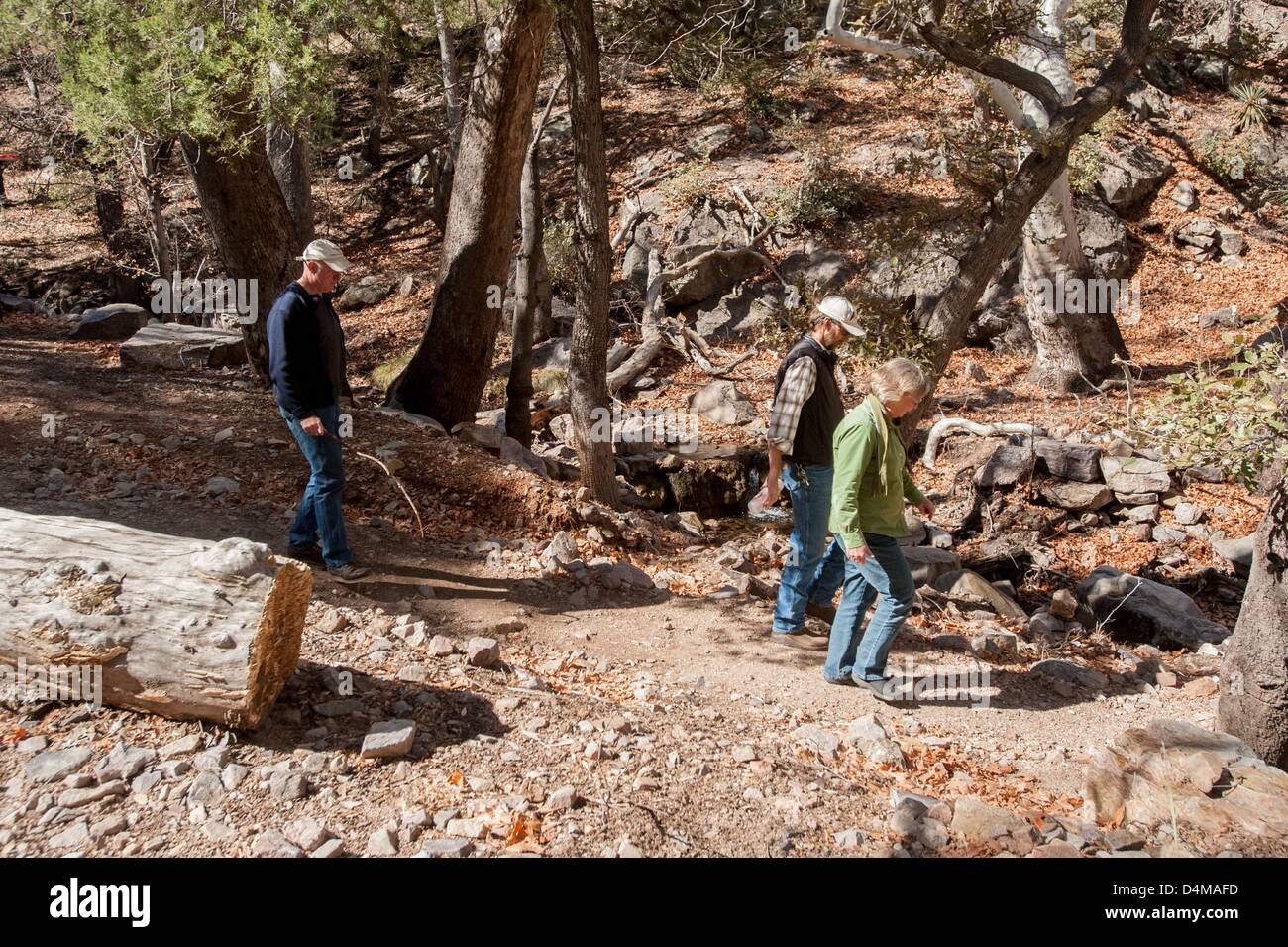 Feb. 7, 2013 - Tucson, Arizona, U.S - Visitors walk through Ramsey Canyon Preserve, a Nature Conservancy property near Hereford, Ariz., indicates the diversity of where visitors come from.  Much of the tourism in the Sierra Vista, Ariz. region is fueled by birding and ecotourism. (Credit Image: © Will Seberger/ZUMAPRESS.com) Stock Photo