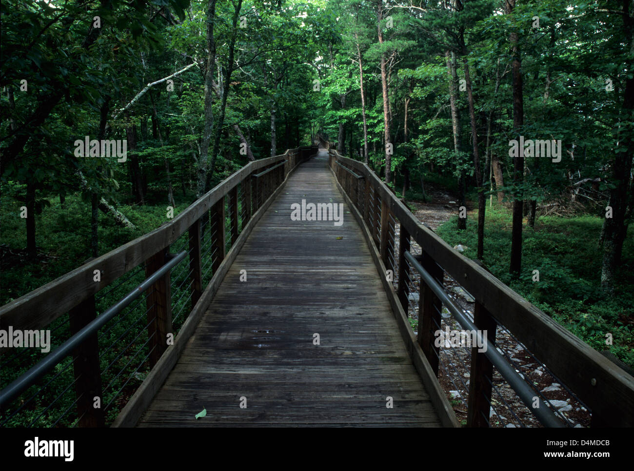 Bald rock trail boardwalk state hires stock photography and images Alamy