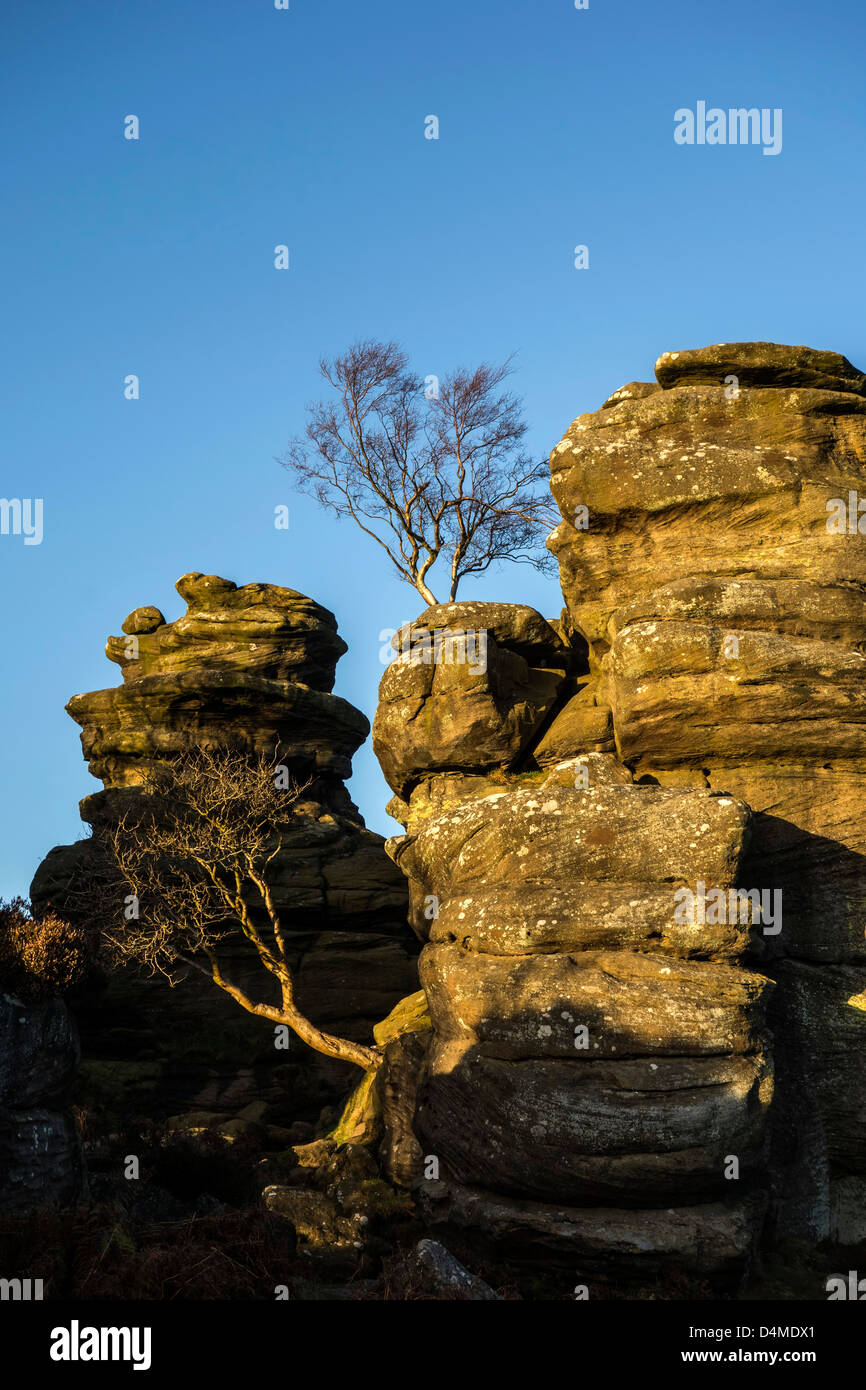 Brimham Rocks near Ripon, North Yorkshire Stock Photo - Alamy