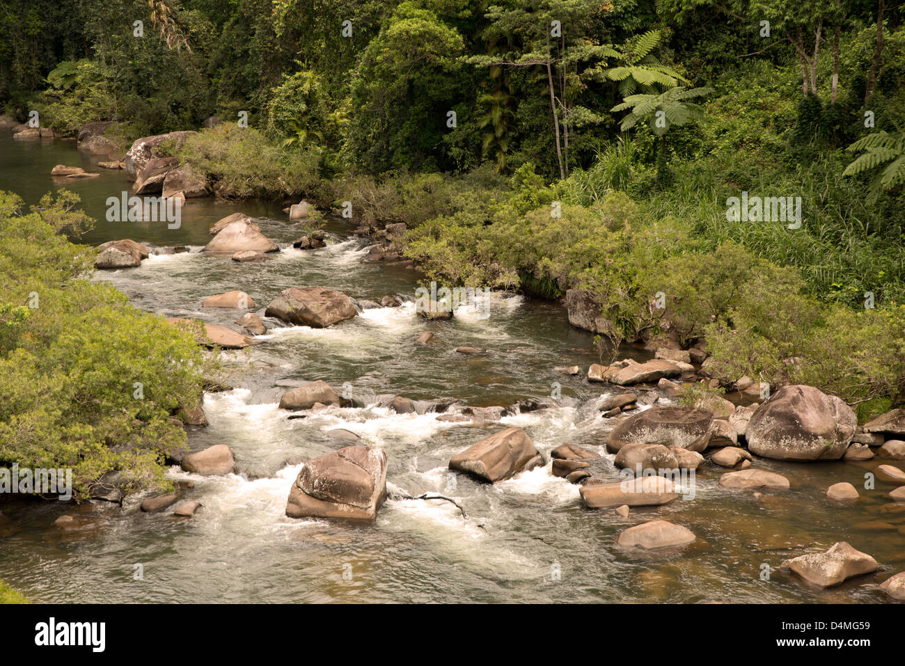 at Beatrice River, Far North Queensland, Australia Stock Photo