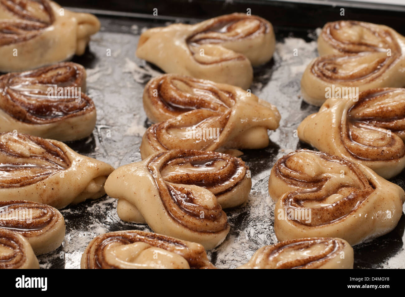 Cinnamon buns ready for baking on a cookie sheet Stock Photo
