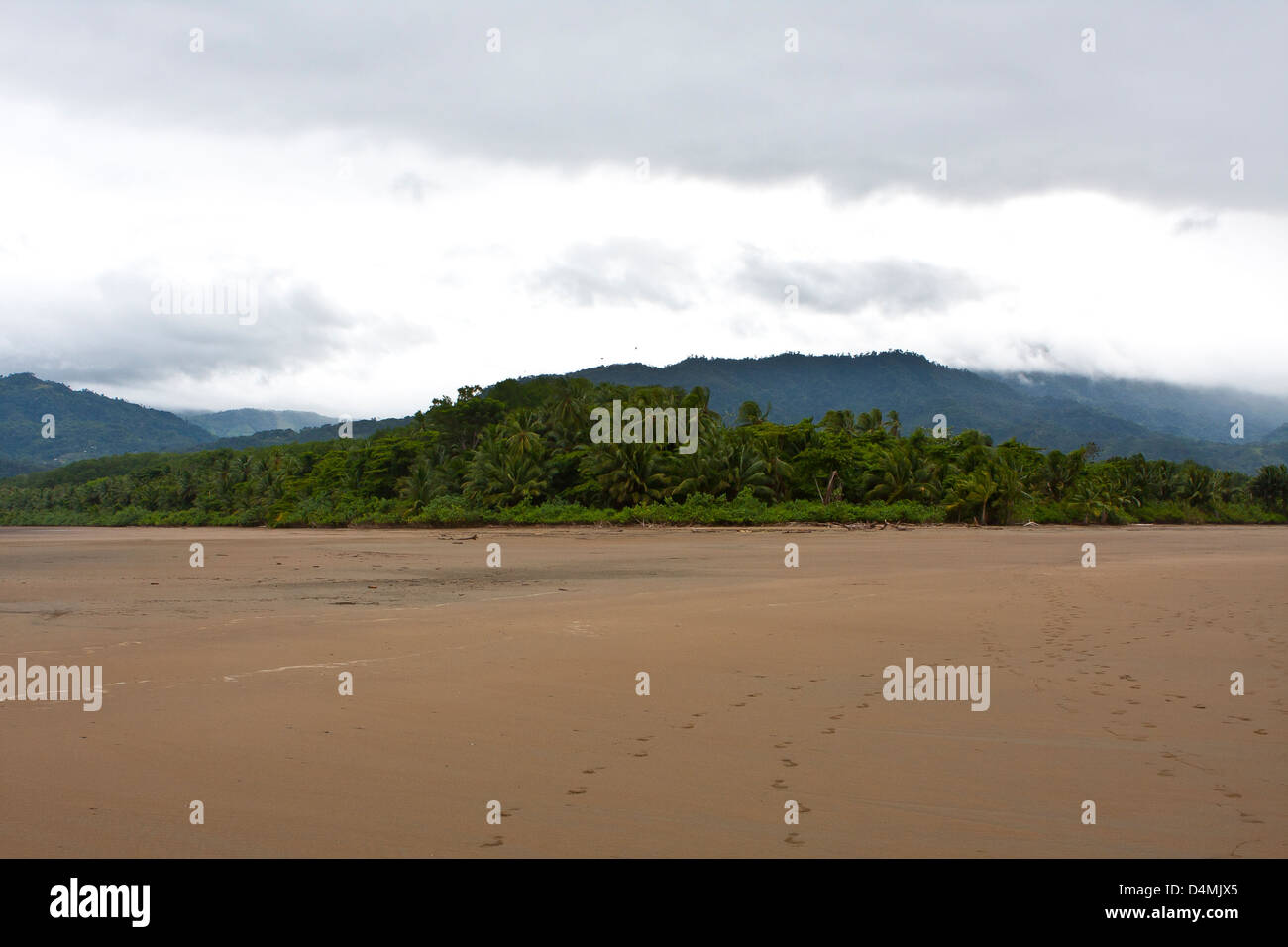 tropical beach with lush vegetation Stock Photo