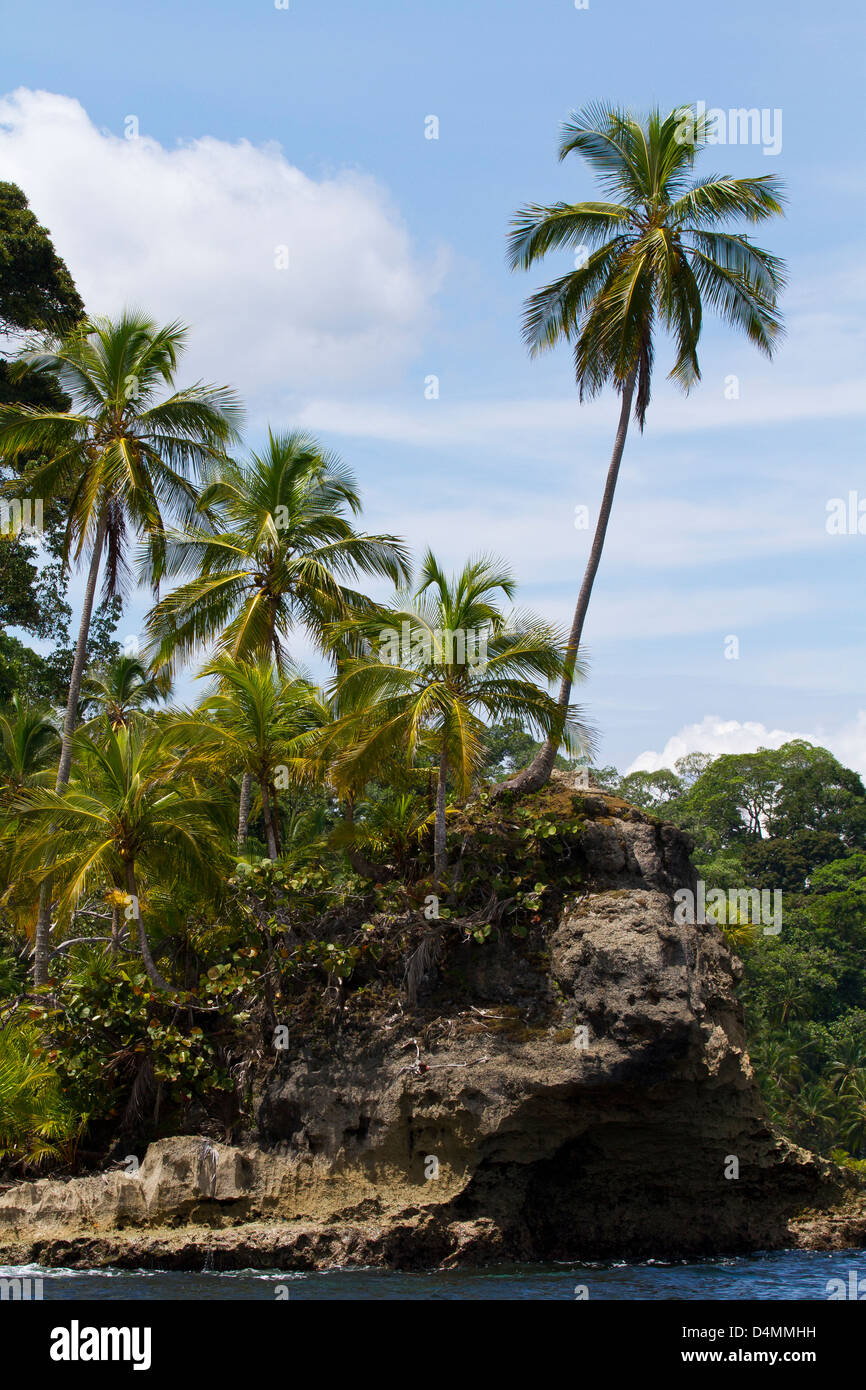 Tropical landscape with clear water and lush vegetation in Costa Rica Stock Photo