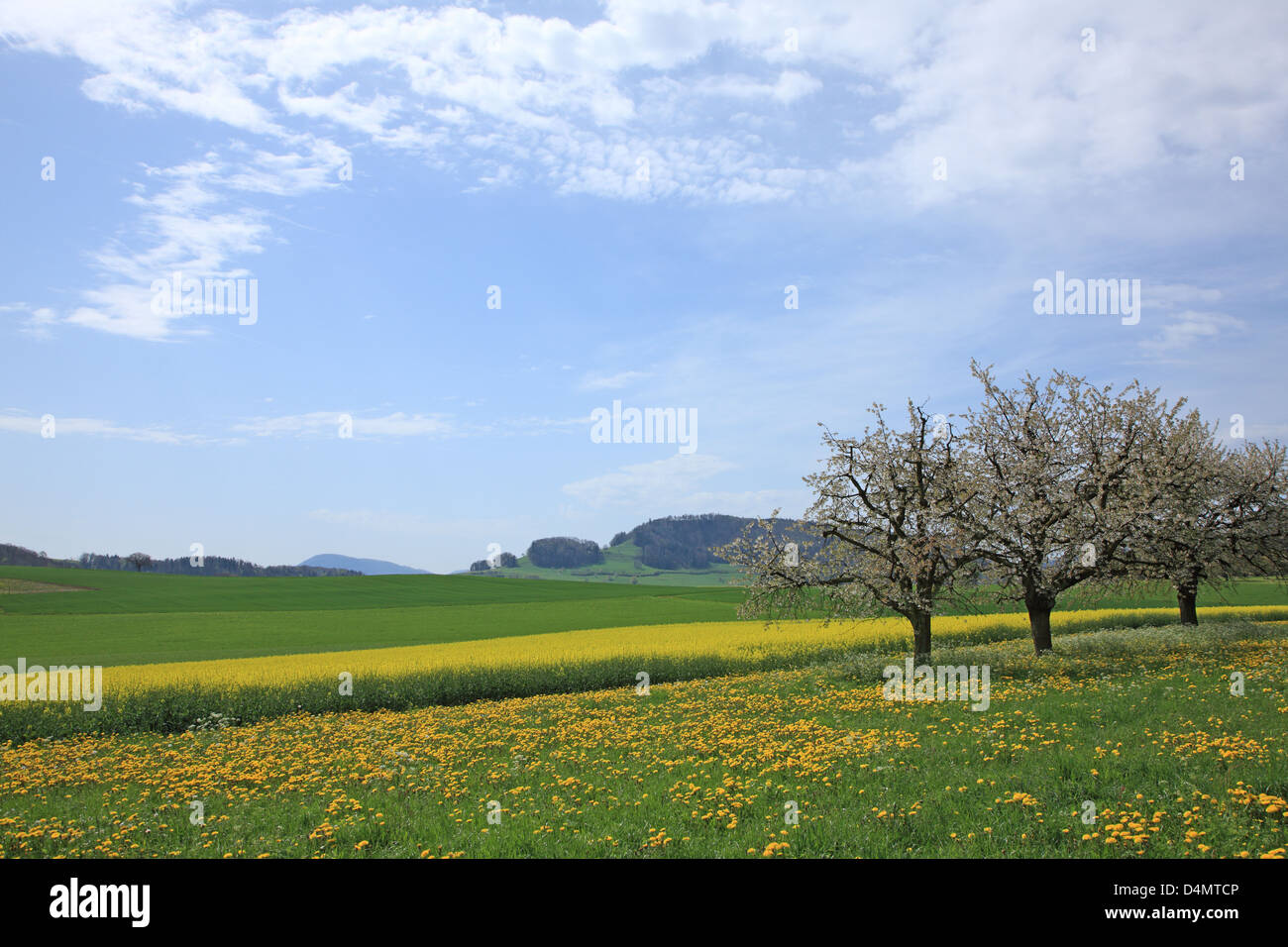 Basel In Spring Switzerland, Baselland in spring Stock Photo - Alamy