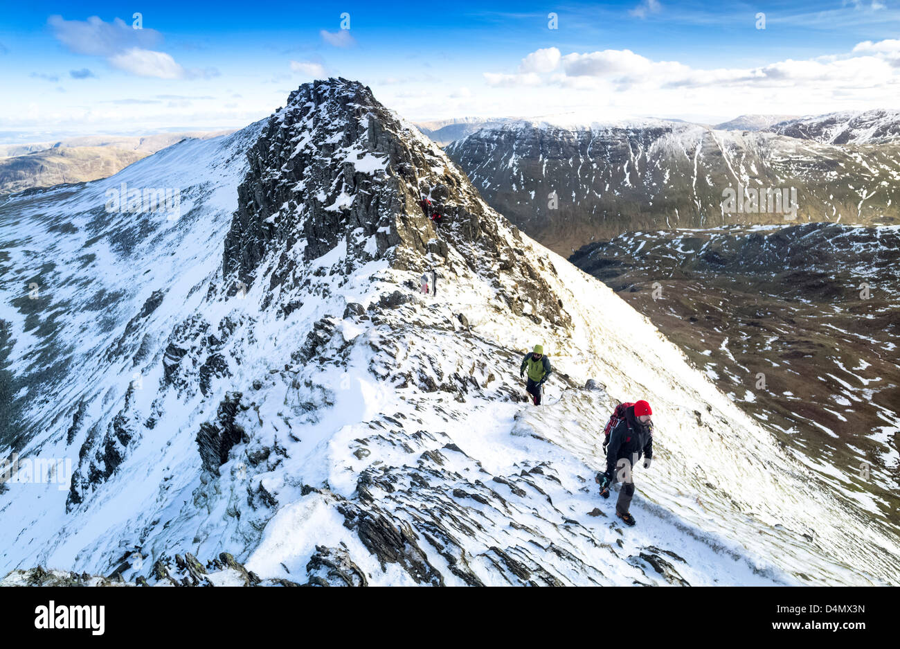 Two walkers walking over Striding Edge towards Helvellyn in the Lake District. Stock Photo