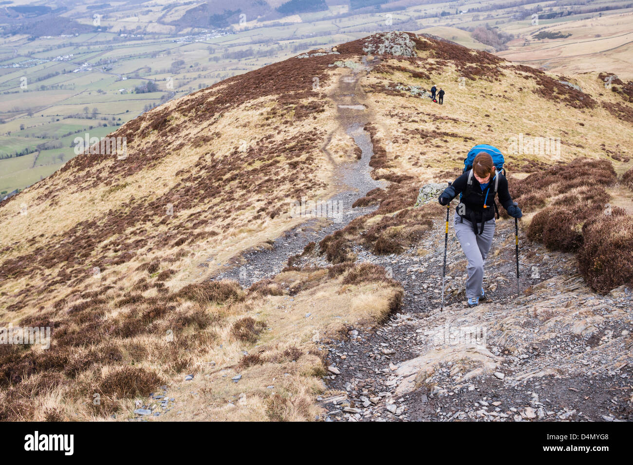 A hiker ascending The Edge ridge on the way to the summit of Skiddaw Stock Photo
