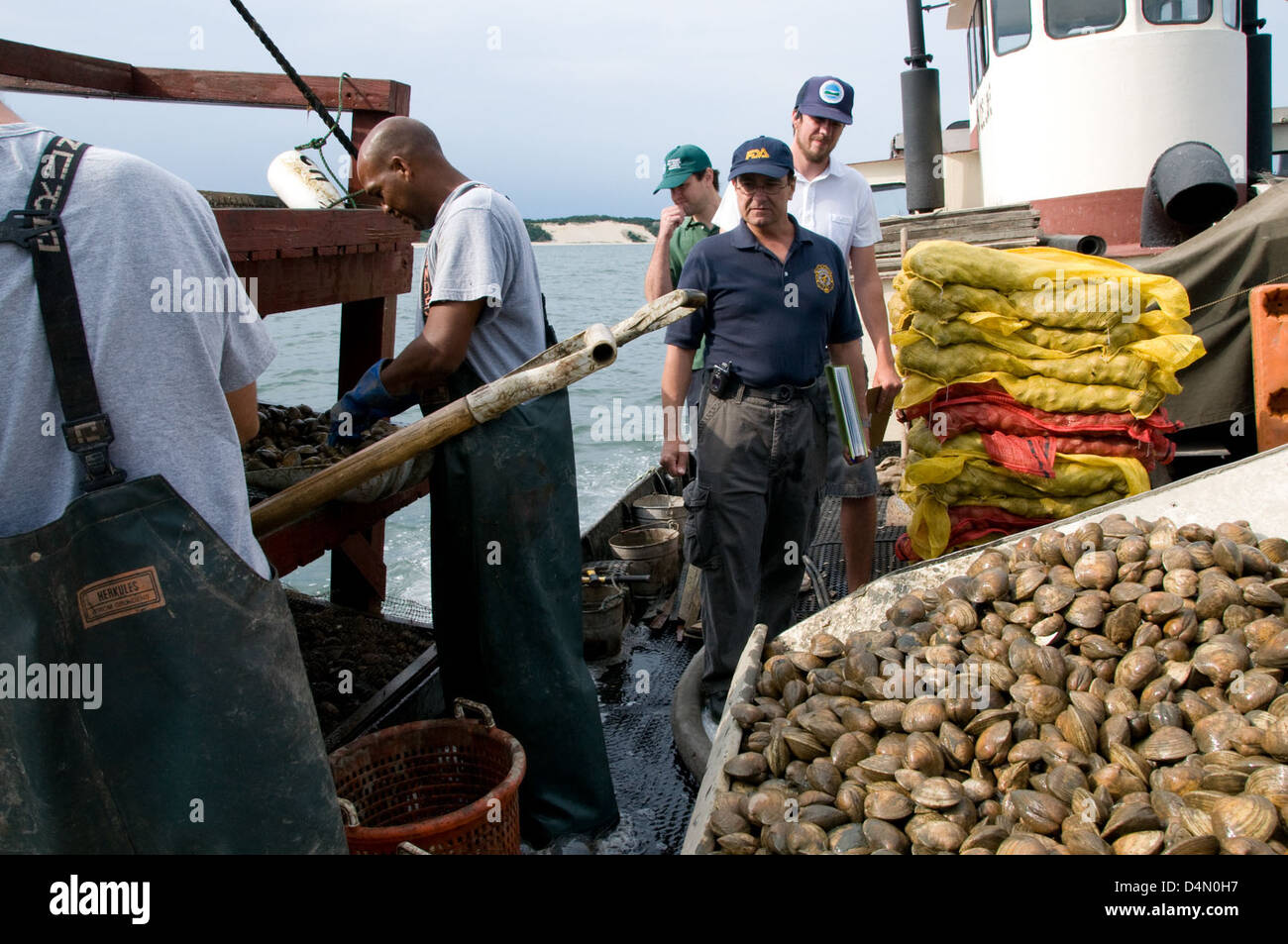 Molluscanshellfish hi-res stock photography and images - Alamy