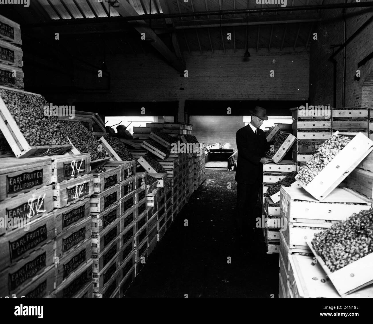 FDA History - Inspecting Fruit Stock Photo