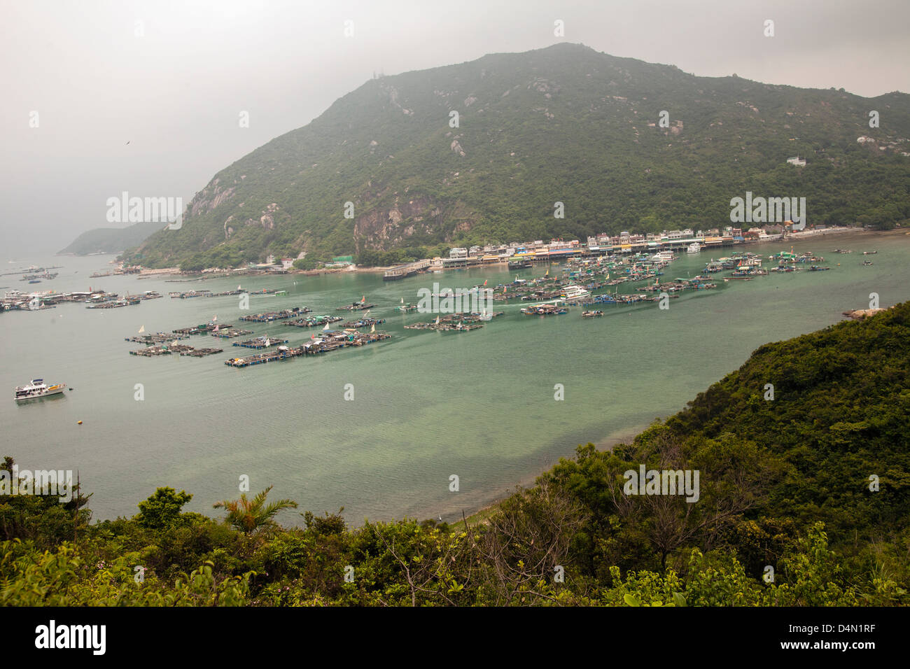 China, Hong Kong, Lamma Island. Floating fish farm, Lamma Island, Hong