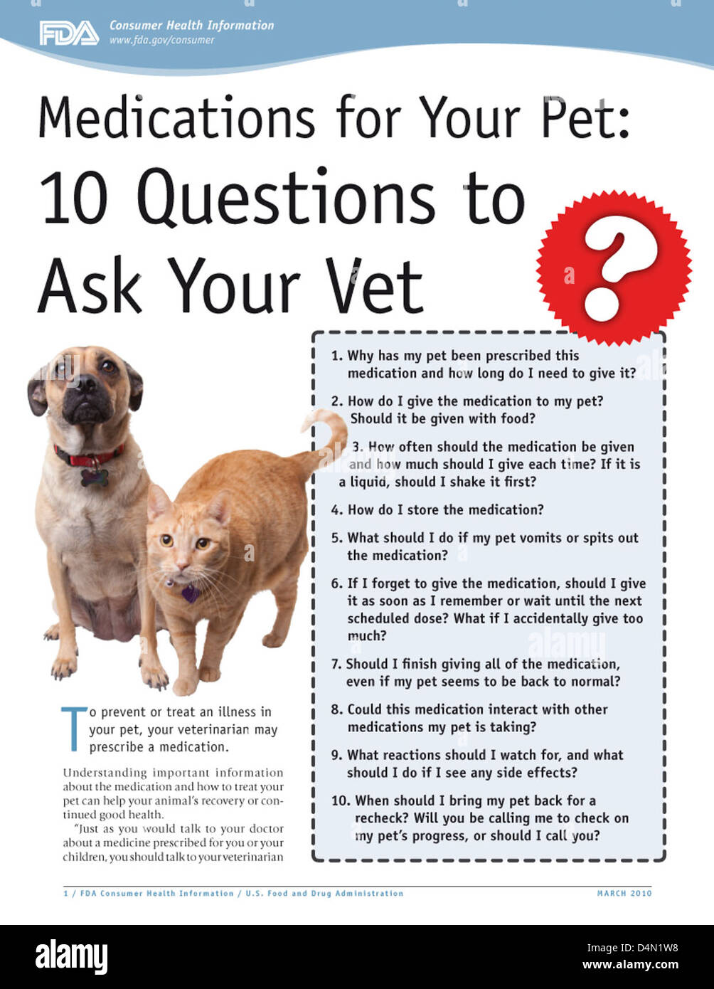 Questions about pets. Questions about Pets for Kids. Questions about Dogs. Pets discussion questions. Questions about animals.