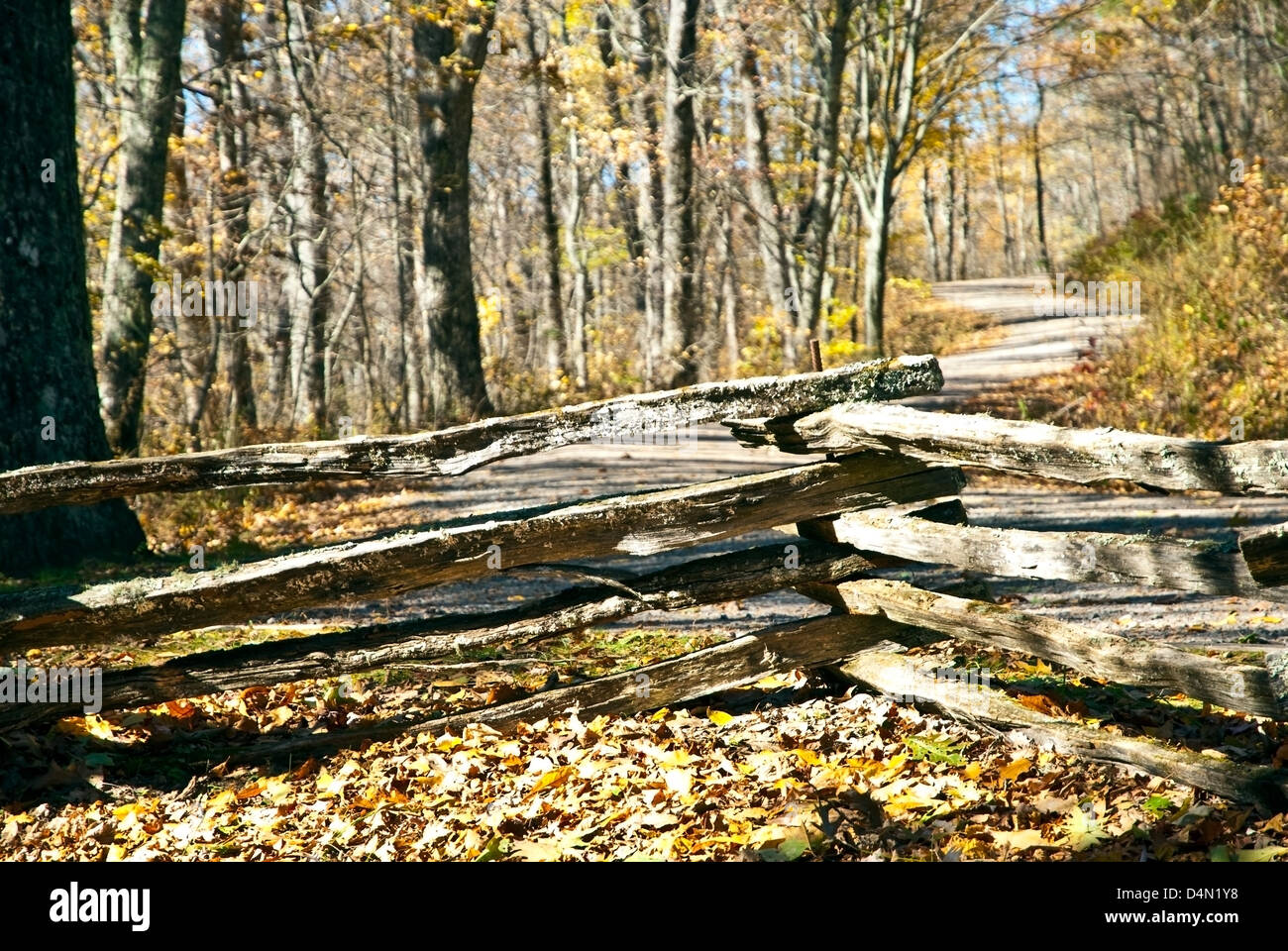 Split rail fence on a country road in the autumn. Stock Photo