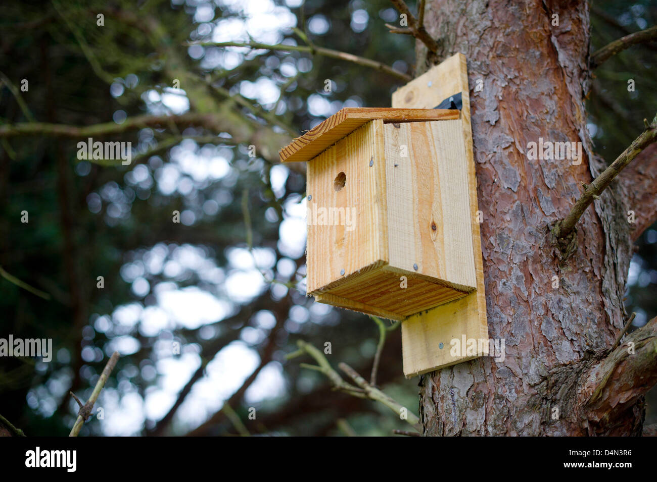 a birdbox attached to a tree Stock Photo