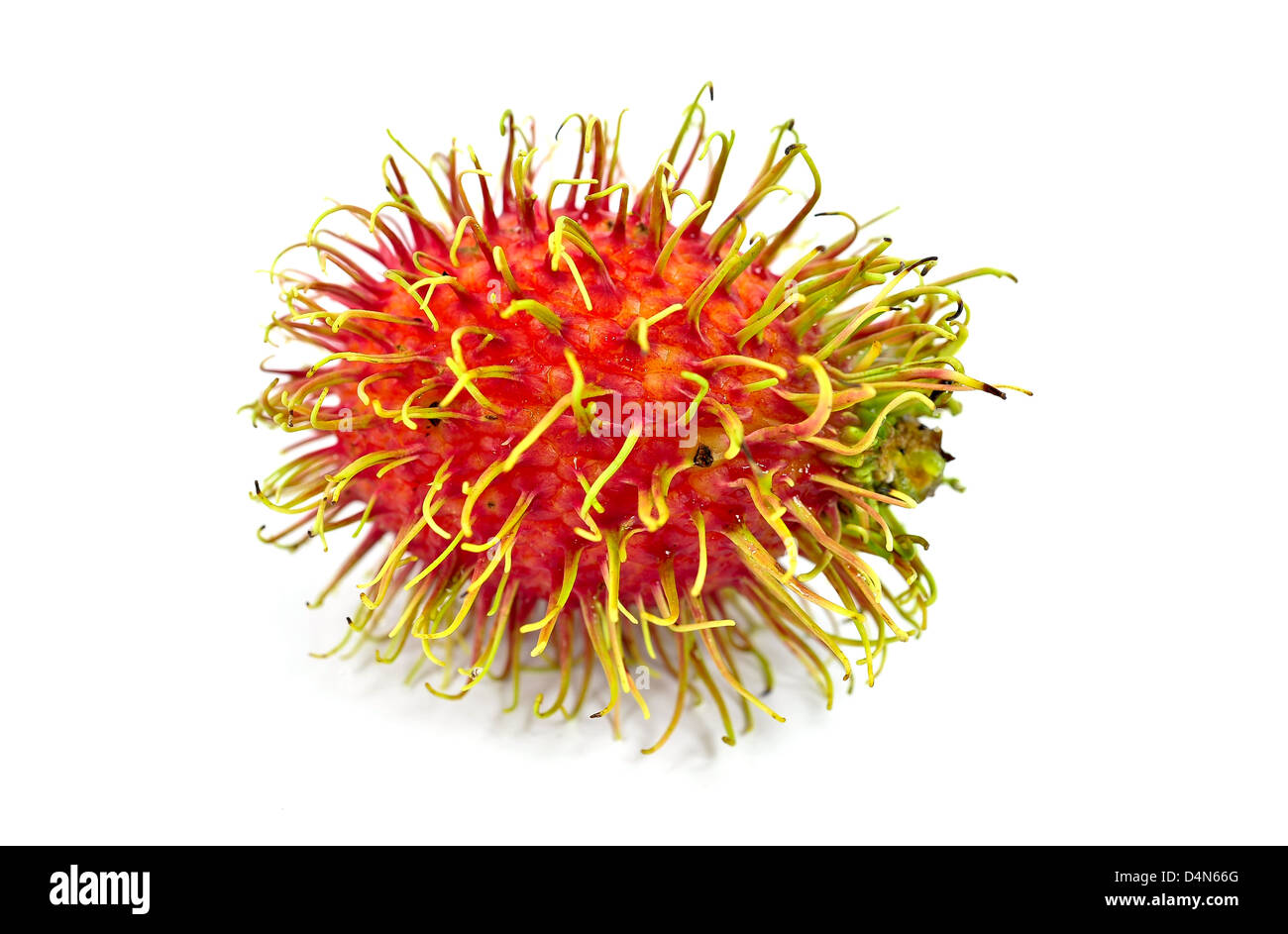 Rambutan isolated on white background Stock Photo - Alamy
