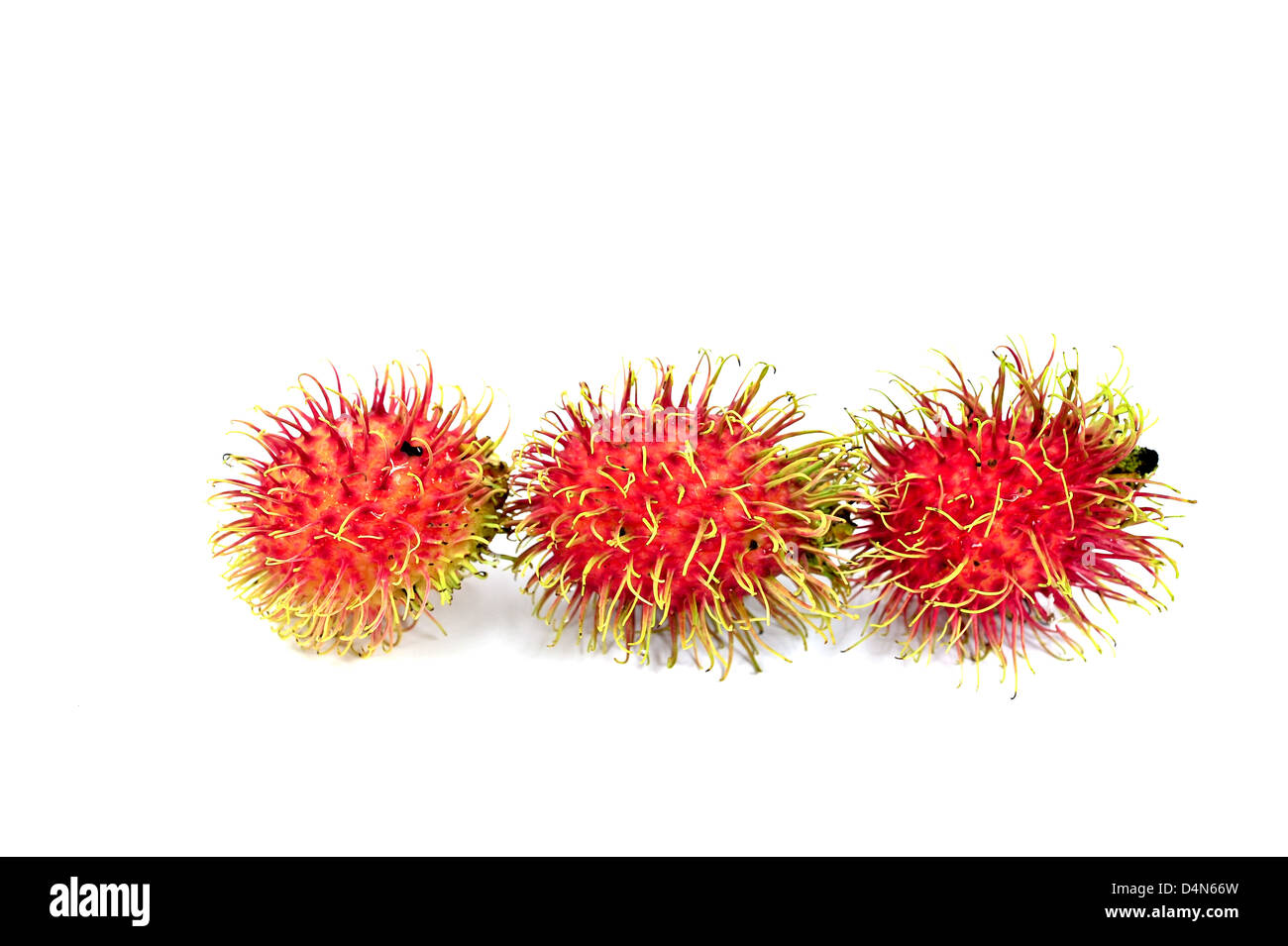 Rambutan isolated on white background Stock Photo - Alamy