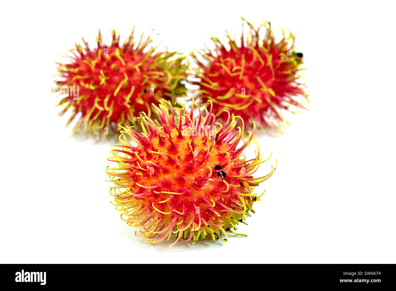 Rambutan isolated on white background Stock Photo - Alamy