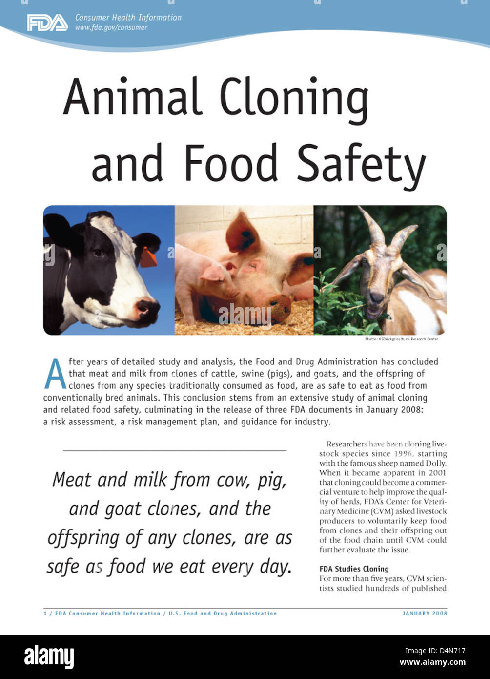 Animal Cloning and Food Safety Stock Photo