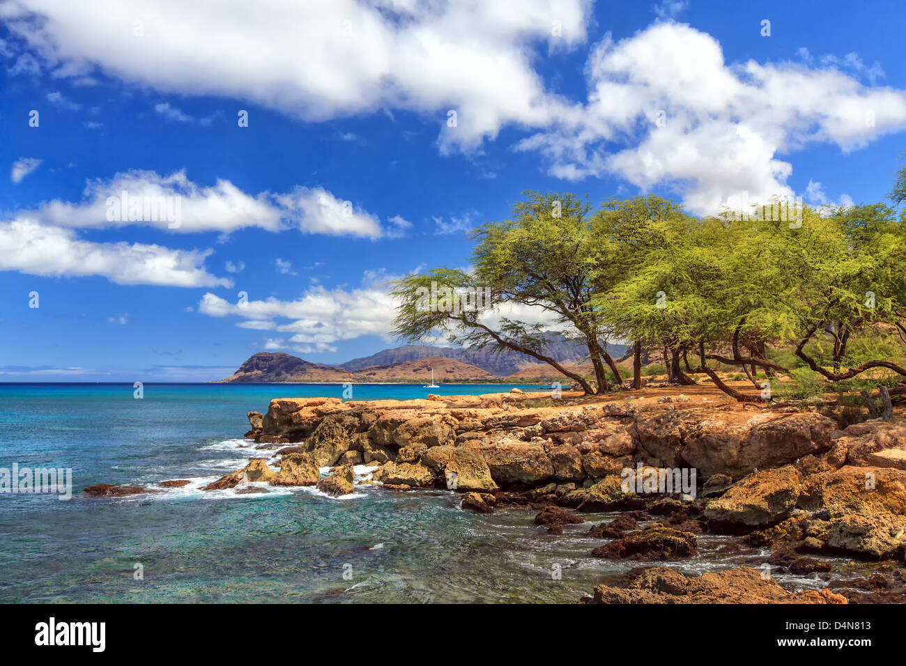 Coast rocks trees blue crystal hi-res stock photography and images - Alamy