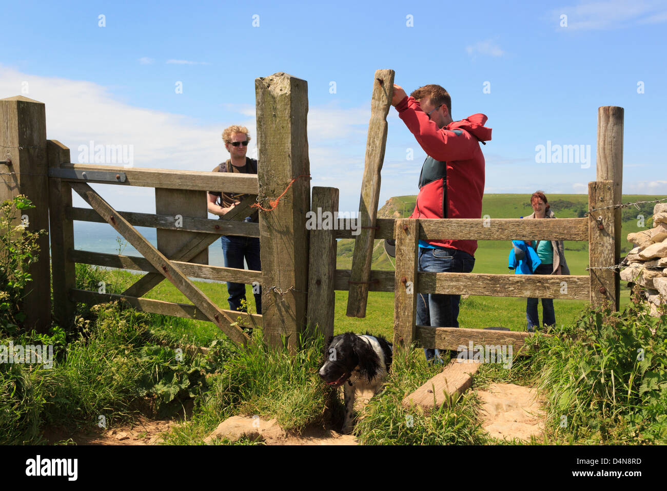 Young people walking on south west coast path with a Springer Spaniel dog using dog-friendly access stile in Purbeck hills Dorset England UK Britain Stock Photo