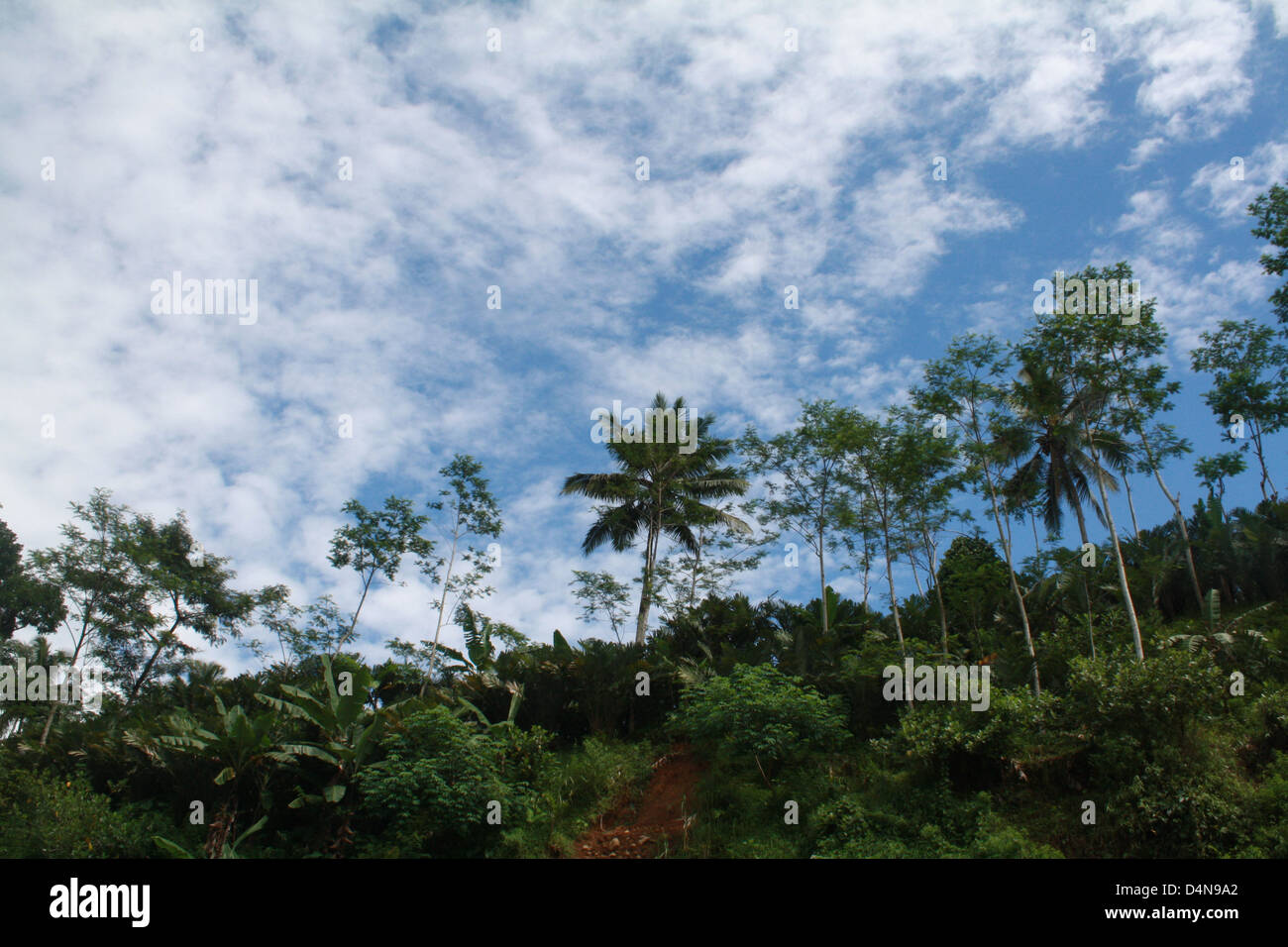 Sky landscape natural hi-res stock photography and images - Alamy