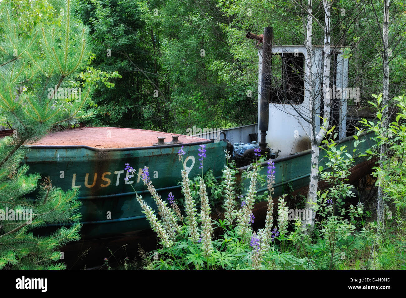 Abandoned old boat moored in forest, Deje, Värmland, Sweden, Europe Stock Photo