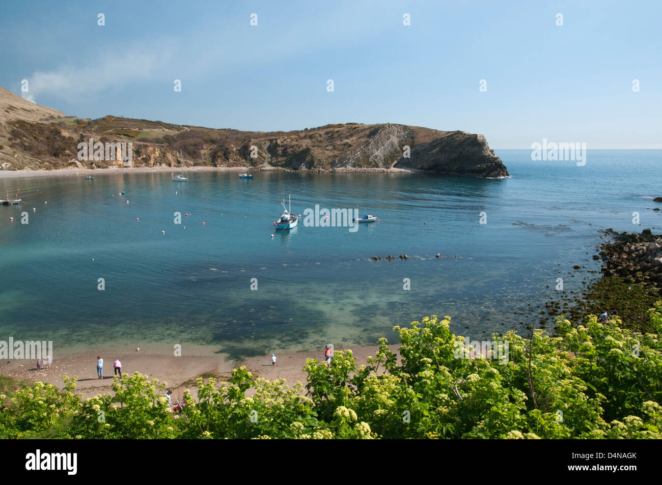 Lulworth Cove, Dorset on a sunny spring afternoon. Stock Photo