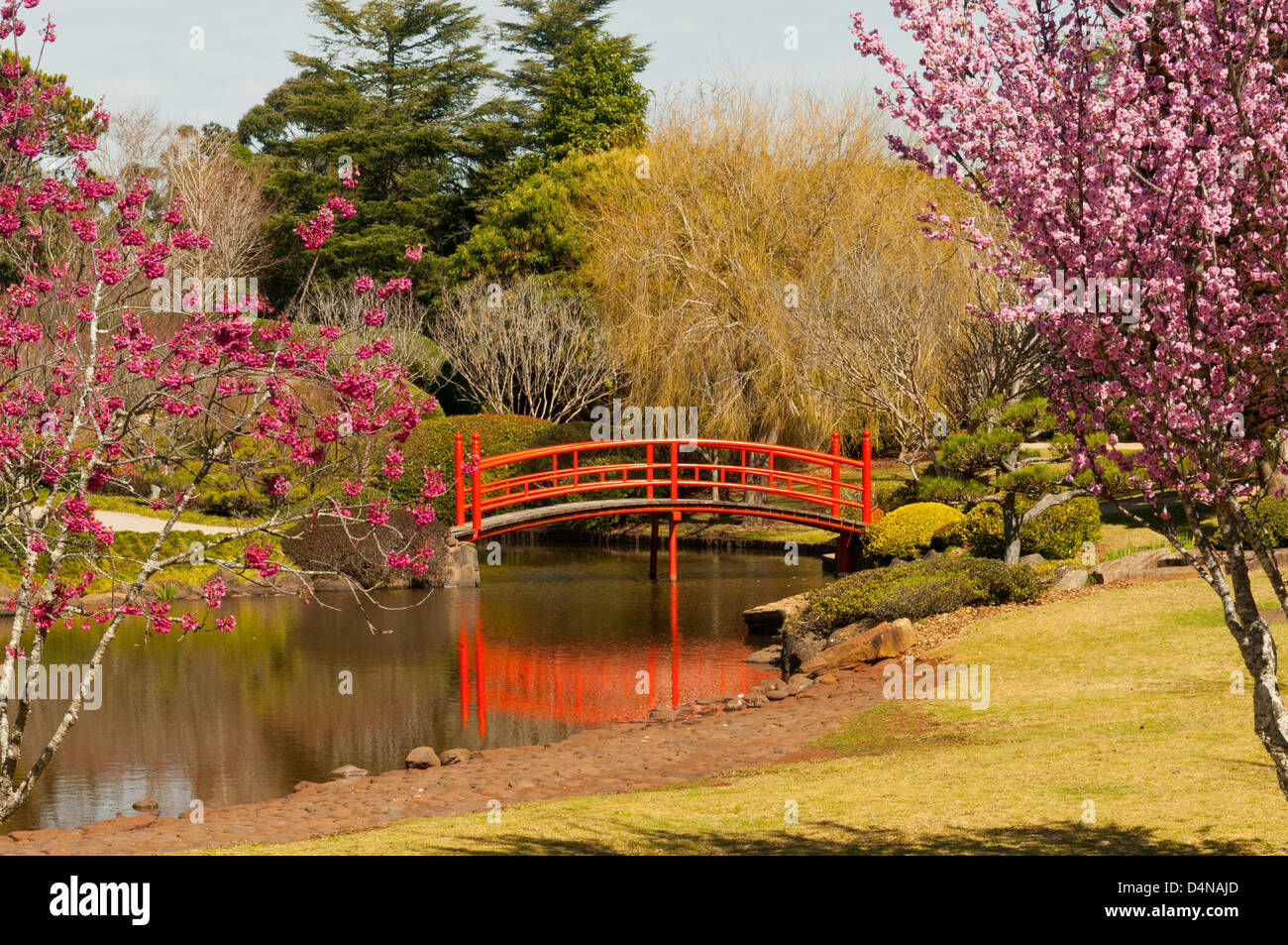 Japanese Garden, Toowoomba, Queensland, Australia Stock Photo Alamy