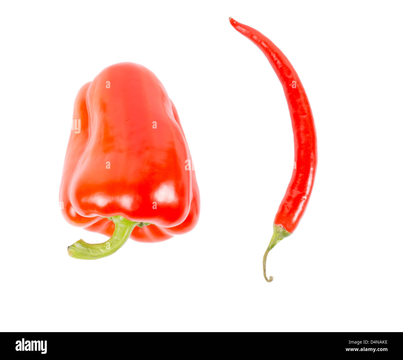 A single sweet red bell pepper and red hot chilli pepper side by side ...