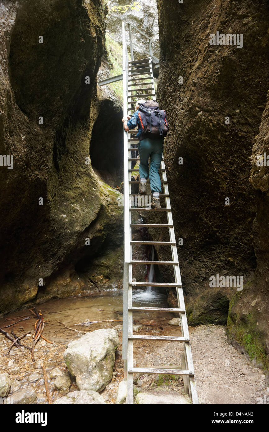 Climbing a ladder in the Dolne Diery Gorge, near Terchova, Zilina Region, Slovak Republic Stock Photo