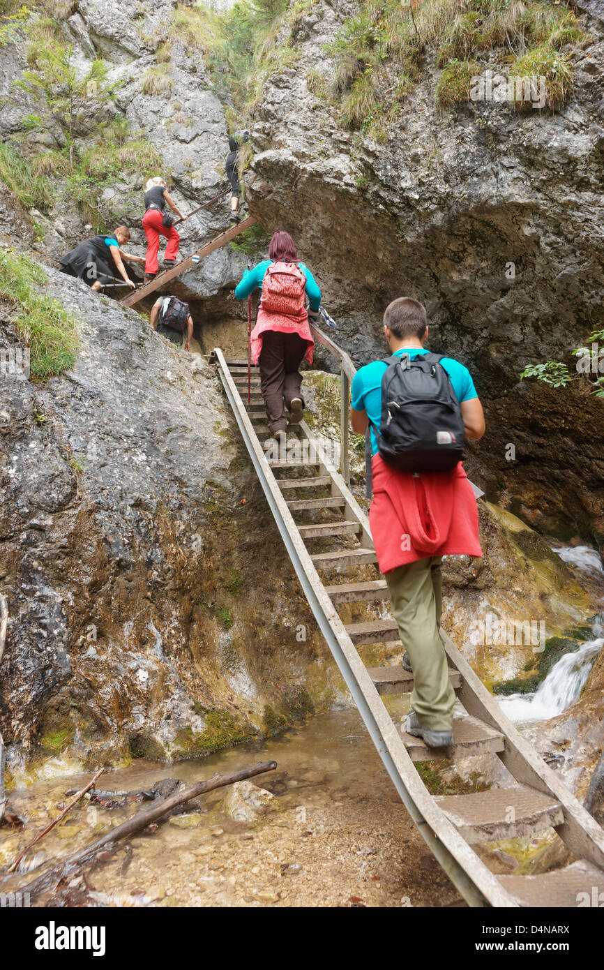 Climbing a ladder in the Nove Diery Gorge, near Terchova, Zilina Region, Slovak Republic Stock Photo