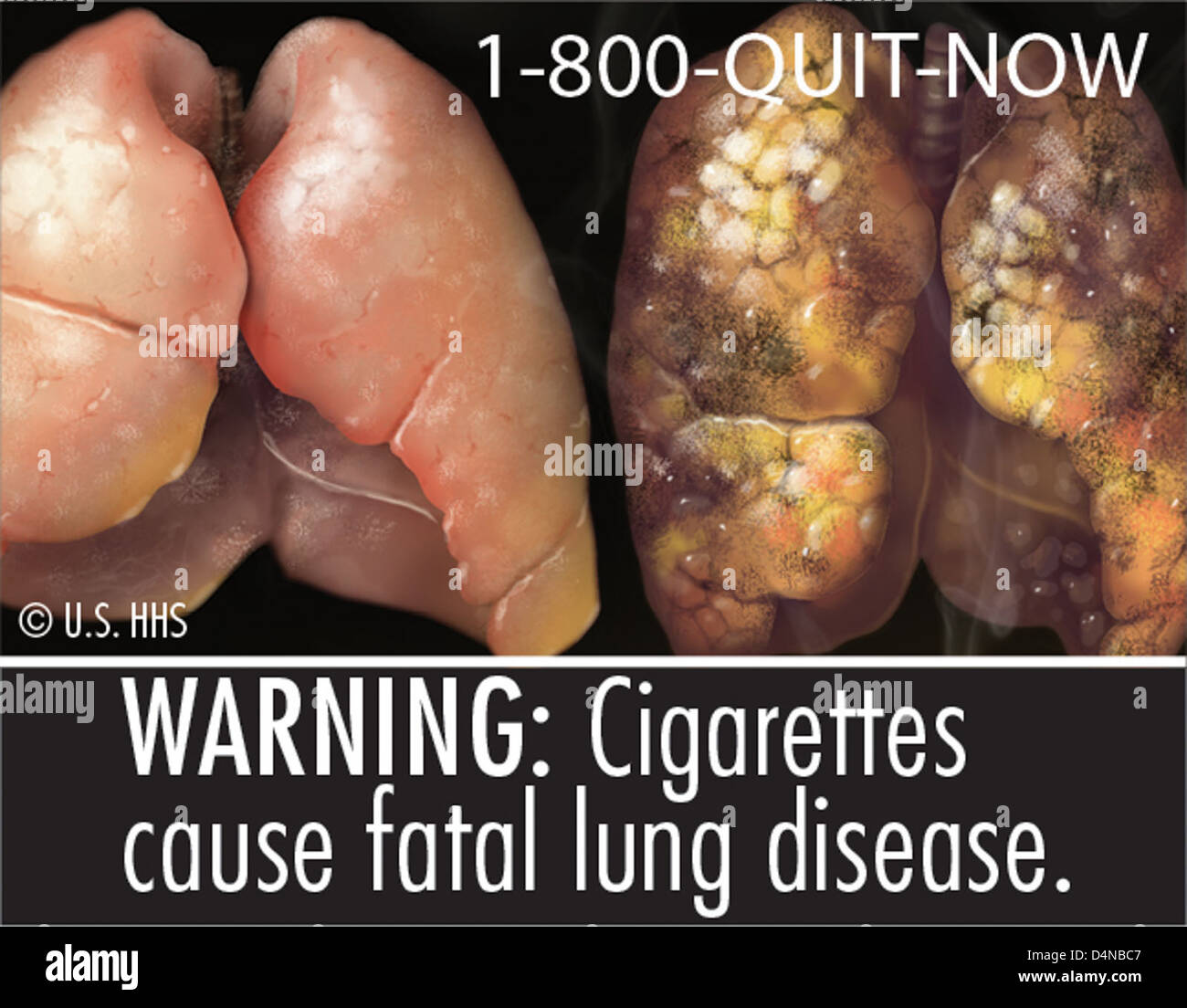tobacco companies in usa Against All Odds, the U.S. Tobacco Industry Is Rolling in Money
