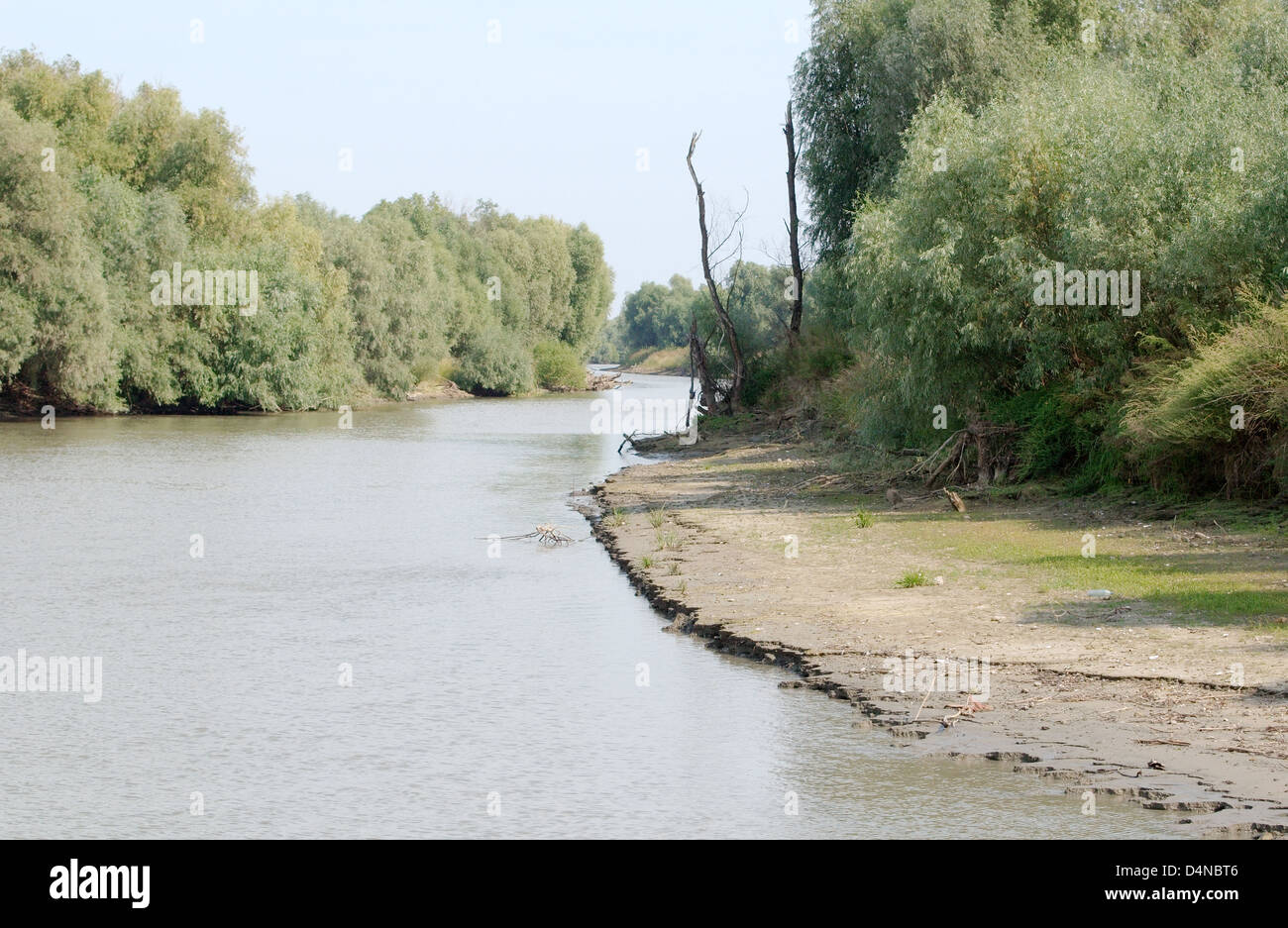 River landscape, Danube, Tulcea, Romania, Europe Stock Photo - Alamy