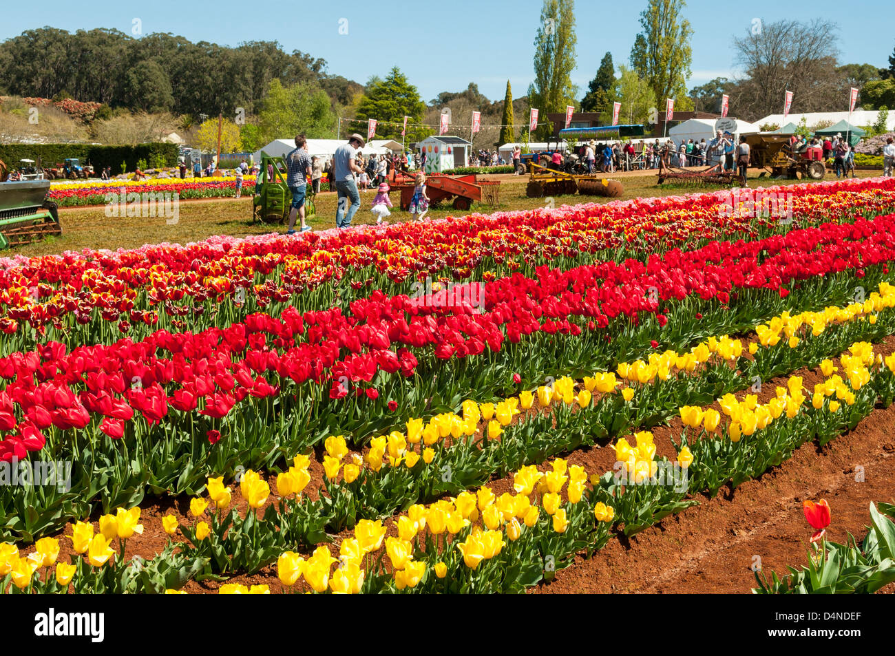 Tessalaars hires stock photography and images Alamy