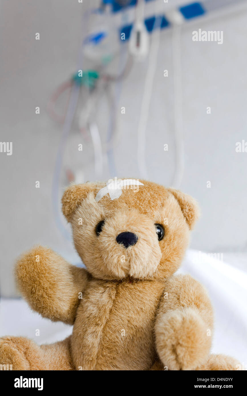 Injured teddy bear with Adhesive Bandage in his head. Stock Photo