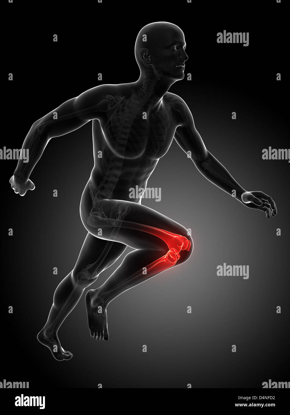 Running Joint Pattern Runners highlighted joints Stock Photo - Alamy