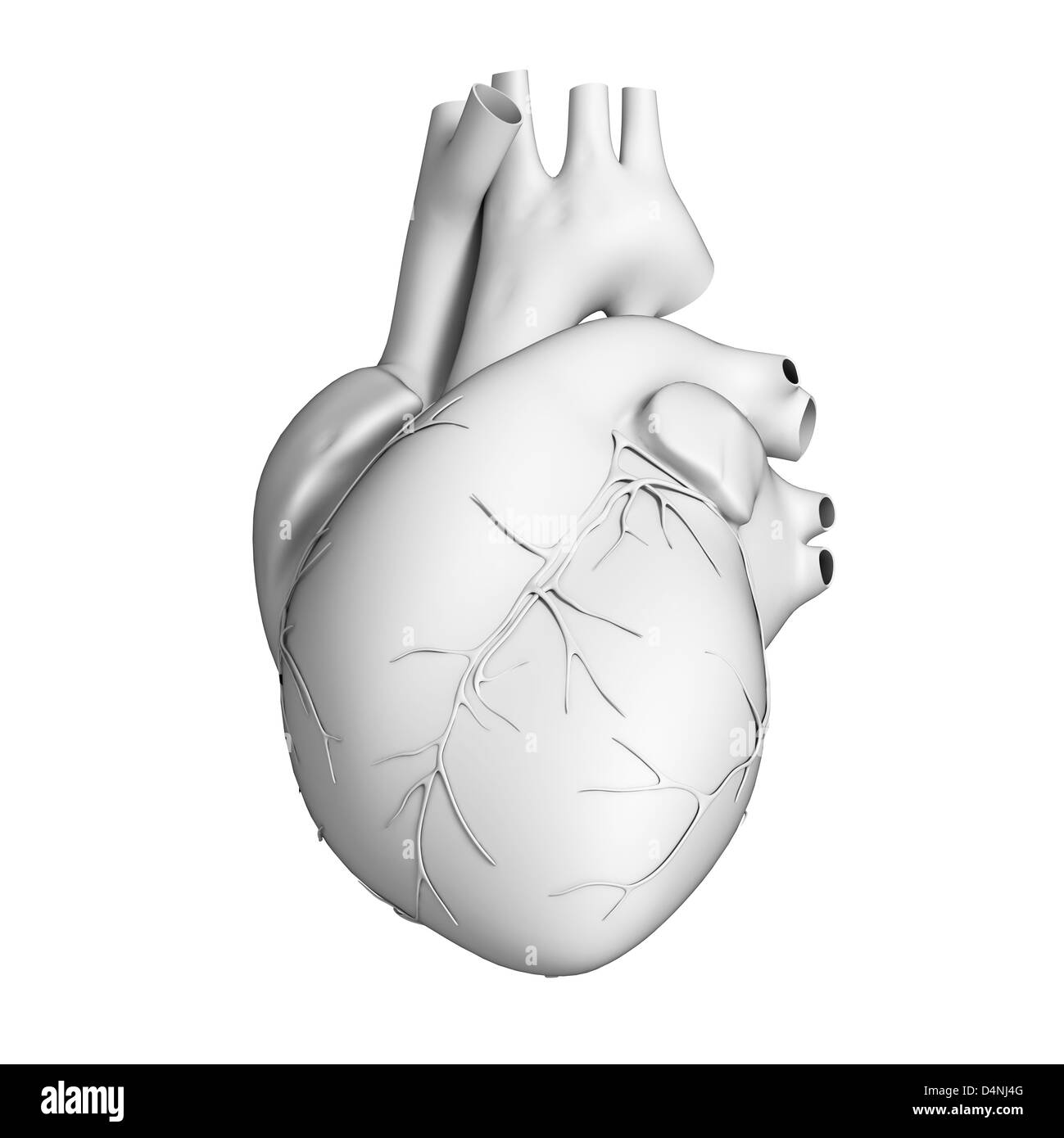 White heart Stock Photo