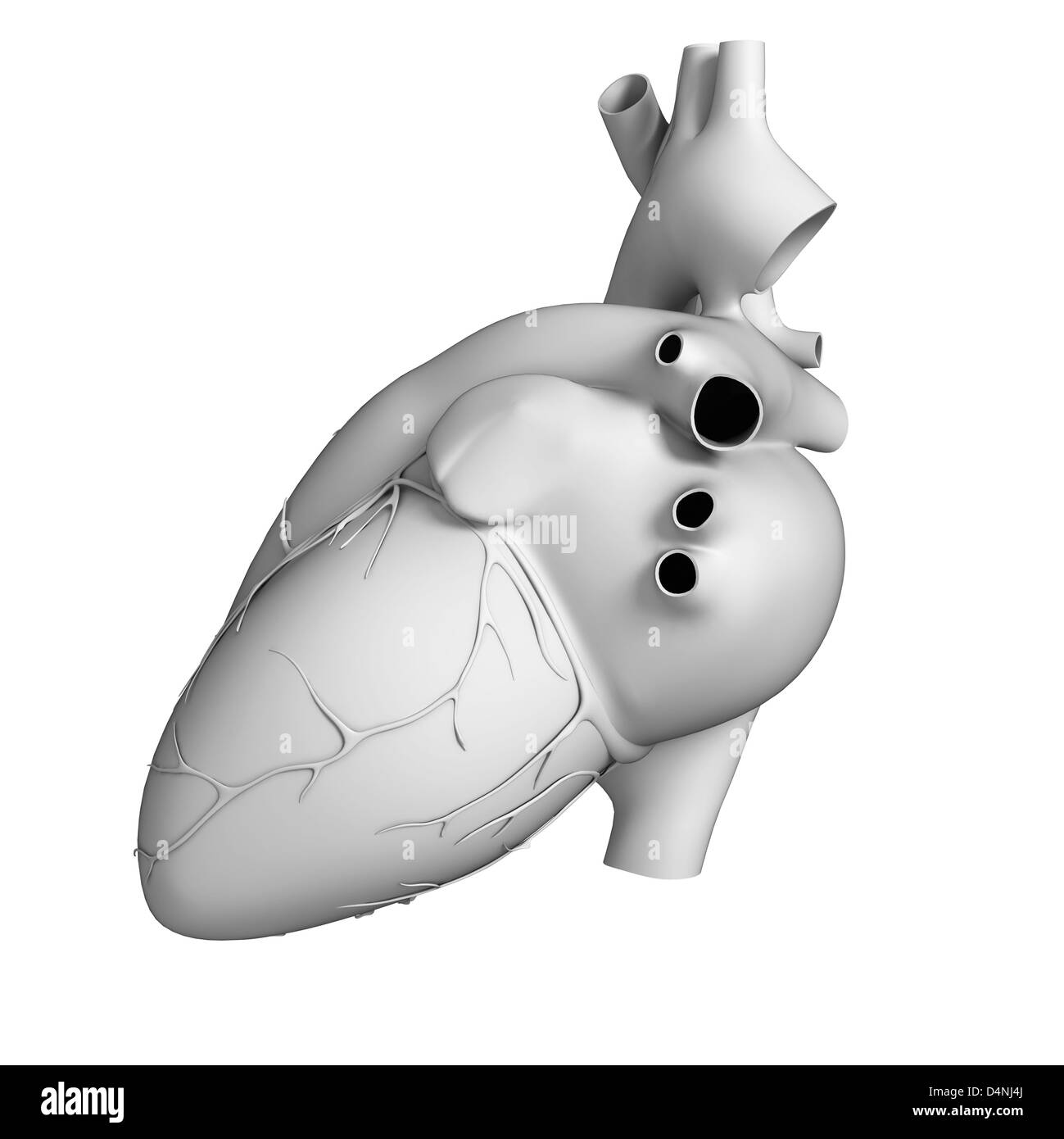 White heart Stock Photo