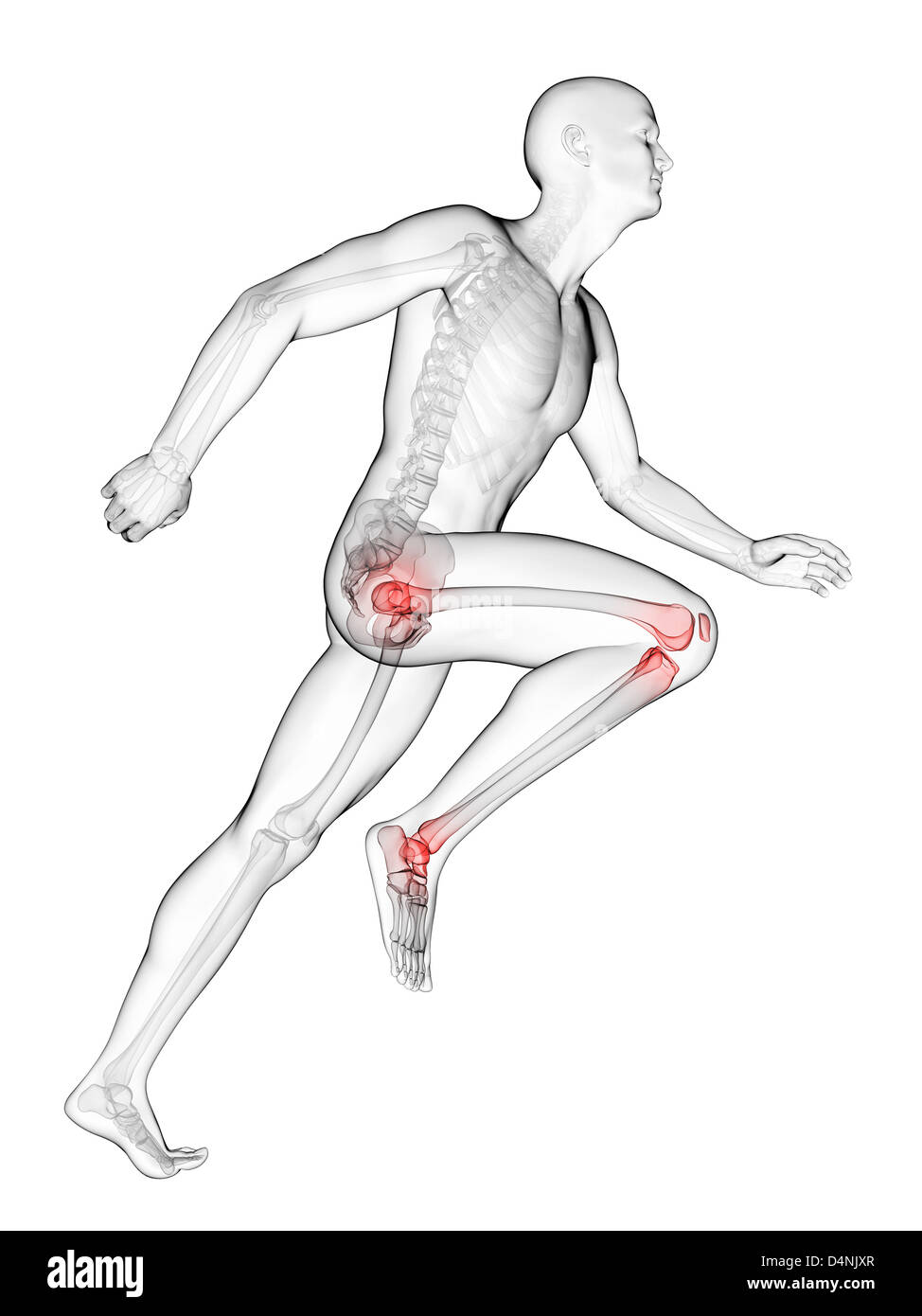 Runners highlighted joints Stock Photo Alamy