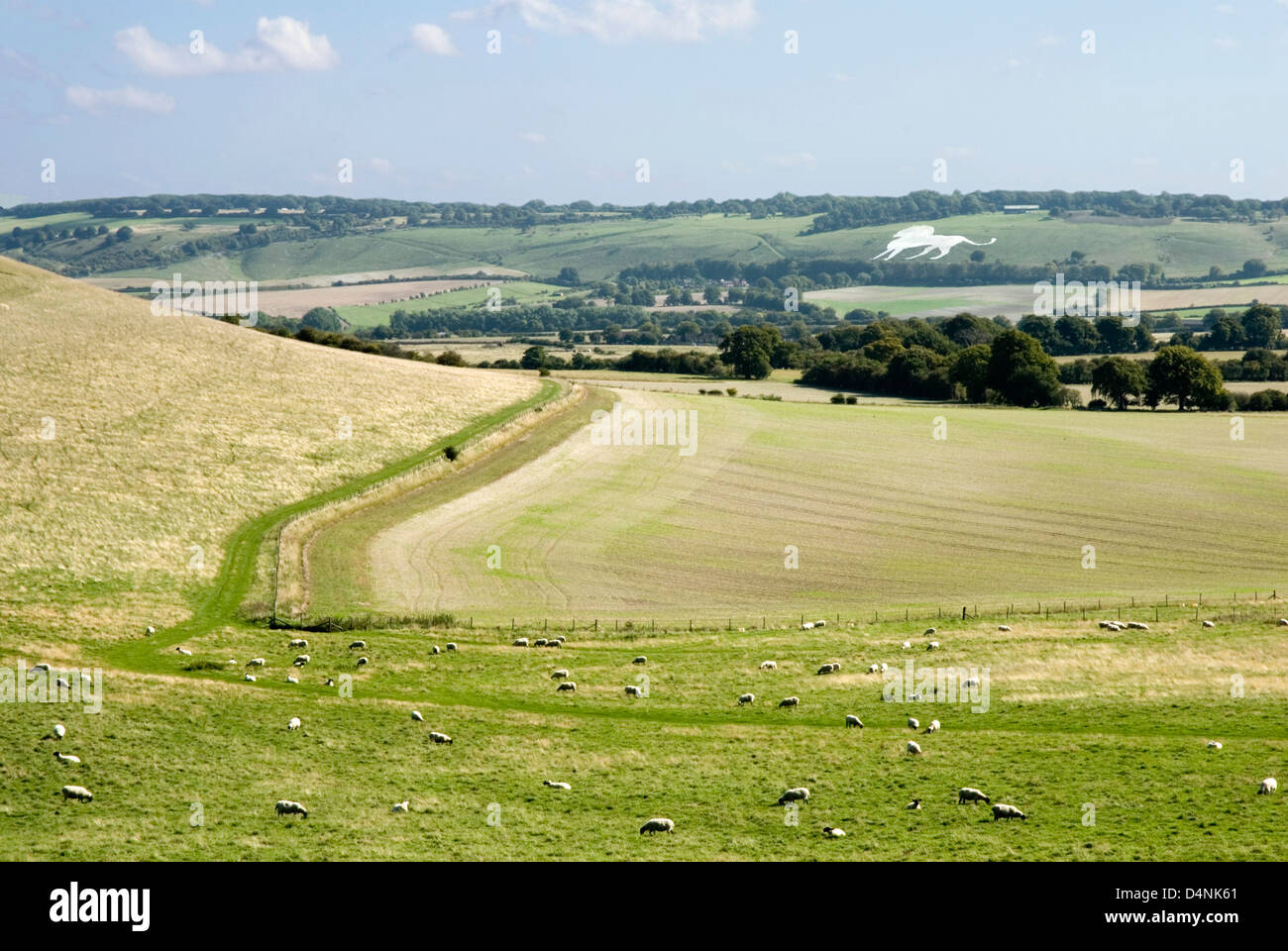 Bucks Chiltern Hills view to the Whipsnade lion chalk carving