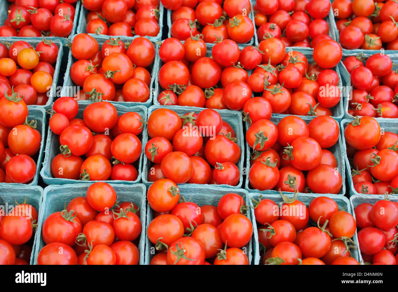 Many cartons of medium sized bright red tomatoes for sale on a table at ...