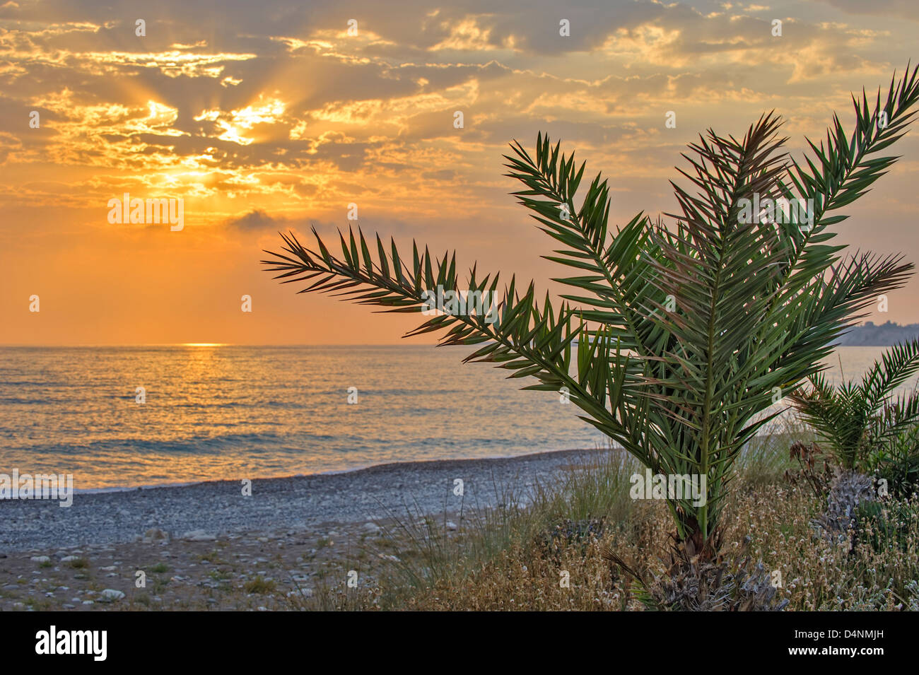 Beautiful sunset over sea palm hi-res stock photography and images - Alamy