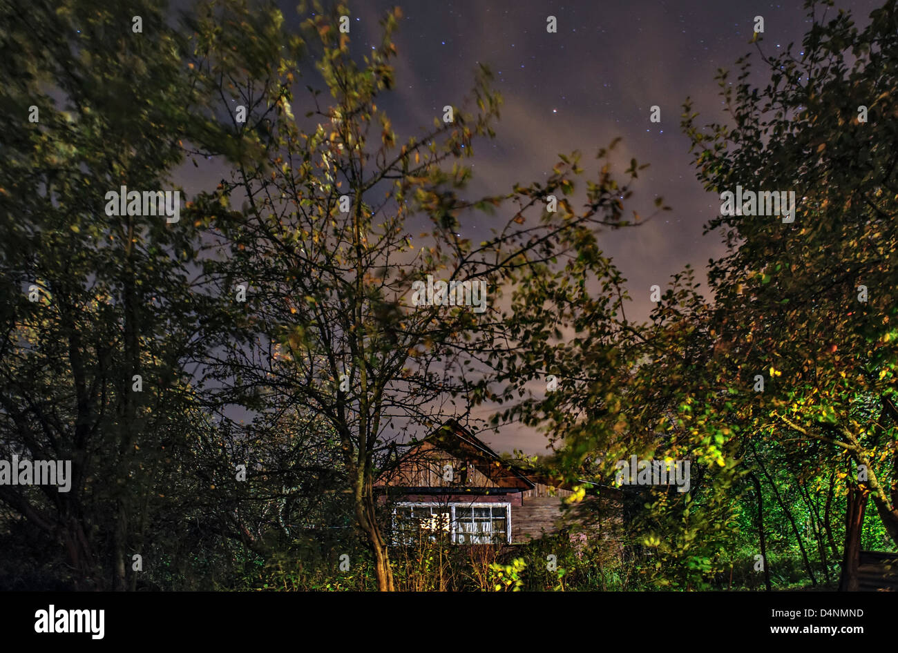 Small hut in the forest under night stars sky Stock Photo