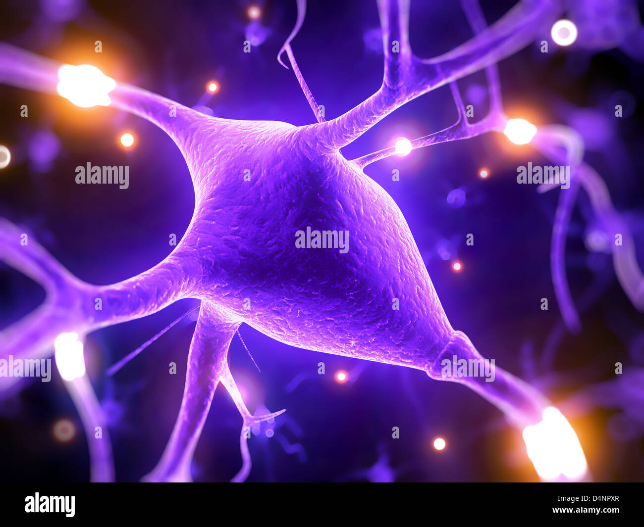 Active nerve cell Stock Photo