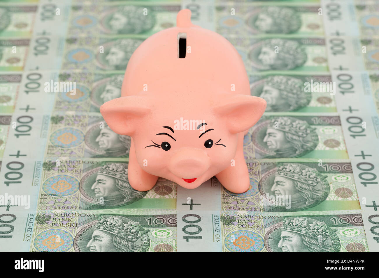 pink piggy on polish money as background Stock Photo