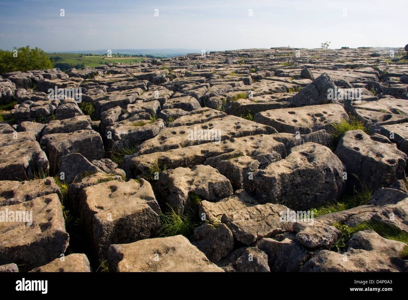 Clints and grykes of limestone pavement, Malham Cove, Yorkshire Dales