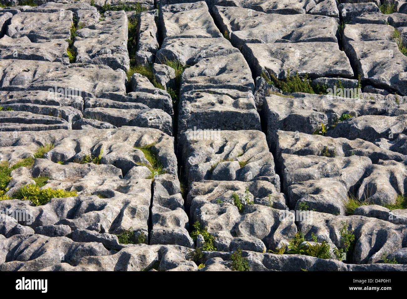 Clints and grykes of limestone pavement, Malham Cove, Yorkshire Dales