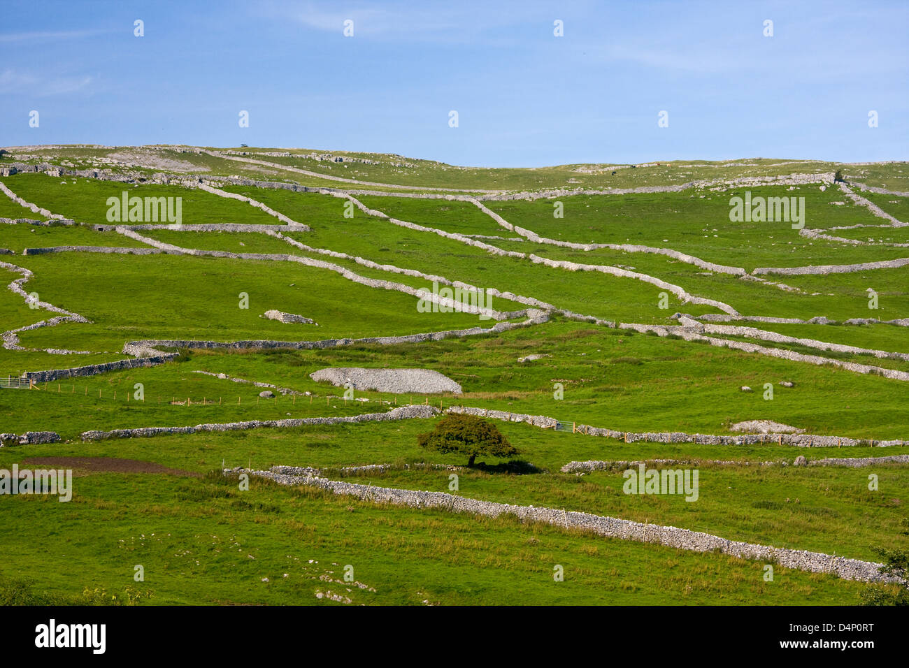 Field patterns near Malham, Yorkshire Dales National Park, England Stock Photo